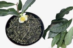 绿茶宣传绿茶叶和叶子高清图片