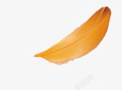 橘黄色羽毛飘着的橘色羽毛高清图片