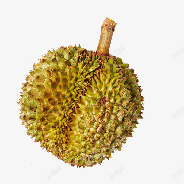 泰国进口新鲜榴莲png免抠素材_88icon https://88icon.com 实物 巨大 榴莲芒果 泰国榴莲 泰国进口新鲜榴莲 热带水果 绿色 美食 营养