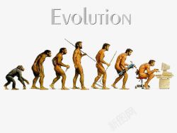 物种的进化人类进化历程图高清图片