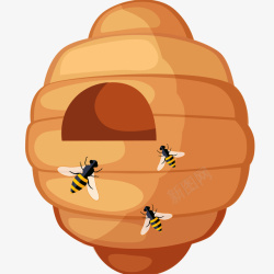 蜂窝和蜂蜜插画矢量图素材
