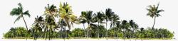 海岛绿色椰树丛素材