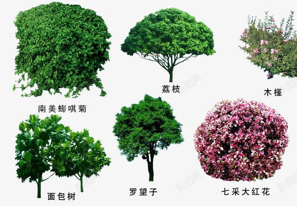 绿色植物png免抠素材_88icon https://88icon.com 3D贴图 效果图元素 盆景 绿化 绿化带 绿植 绿色植物