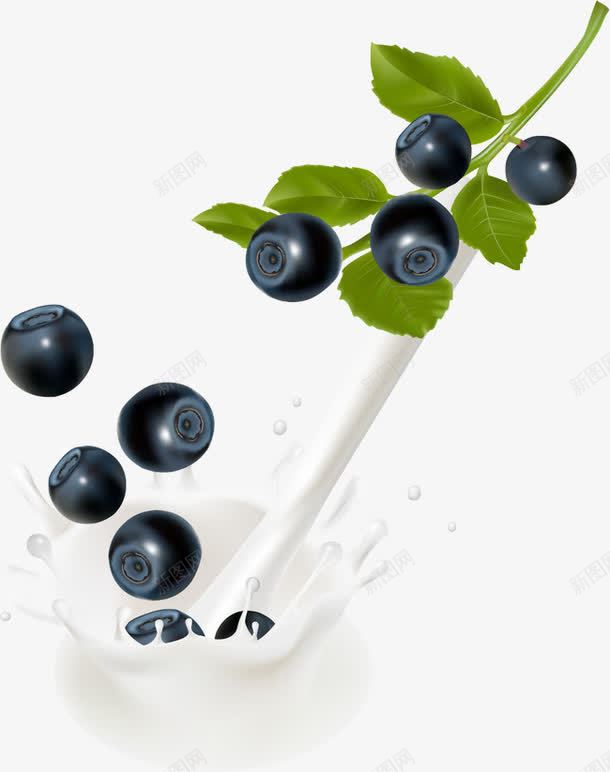 蓝莓牛奶滴喷溅矢量图ai免抠素材_88icon https://88icon.com 喷溅 滴 牛奶 蓝莓 矢量图