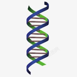 卡通DNA链条基因链矢量图素材