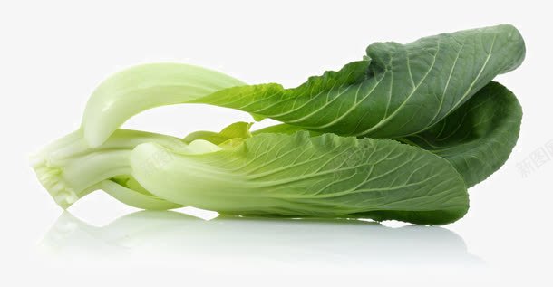 新鲜的油菜蔬菜png免抠素材_88icon https://88icon.com 叶子图片 新鲜的油菜蔬菜 油菜新鲜蔬菜 生菜新鲜蔬菜 菜叶菠菜 蔬菜叶子