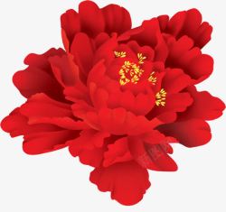红色妖艳的牡丹花素材