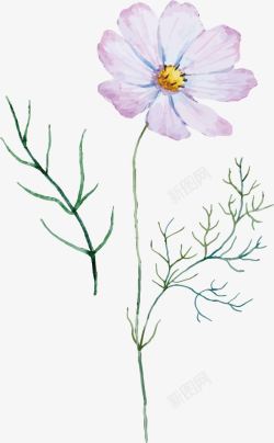 手绘描边手绘花朵花朵排版高清图片