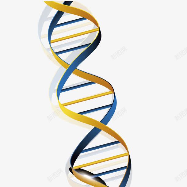 DNA双螺旋结构图png免抠素材_88icon https://88icon.com DNA DNA双螺旋结构图片 双螺旋 结构