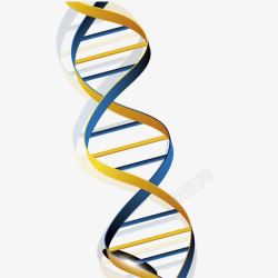 DNA双螺旋结构图素材