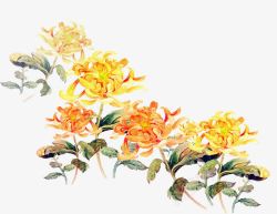 彩绘鲜花卡通手绘菊花装饰图案高清图片