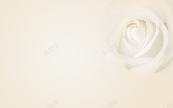 白色米色玫瑰渐变淘宝平面美容化妆背景背景