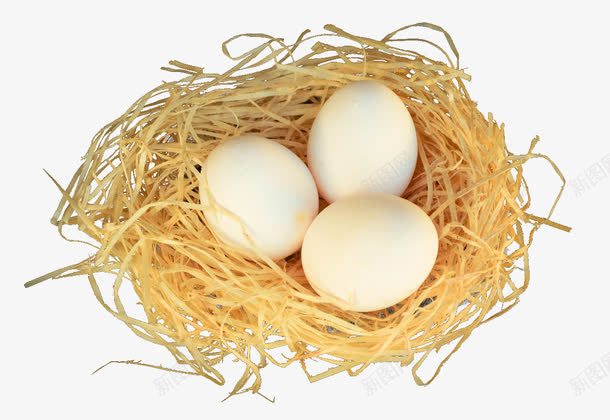 草窝里的鸡蛋png免抠素材_88icon https://88icon.com 产品实拍 实物 稻草 草窝 鸡蛋免费下载 鸡蛋包装 鸡蛋托 黄色