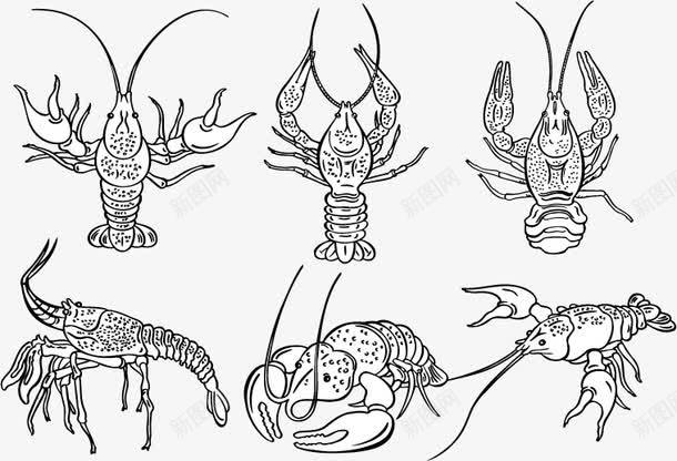 手绘速写龙虾矢量图ai免抠素材_88icon https://88icon.com 小龙虾 手绘 海洋生物 速写 矢量图