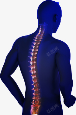 男性的背部脊椎图素材