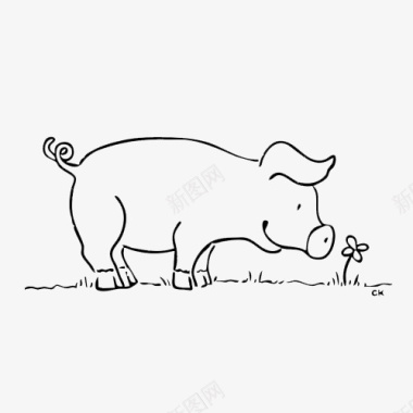 素描动物看花草地猪简笔画图标图标