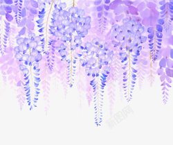 鲜花藤蔓电视手绘紫藤花高清图片