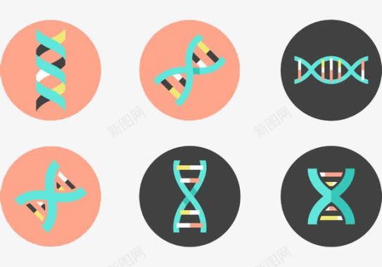 生物DNA双螺旋标图标图标