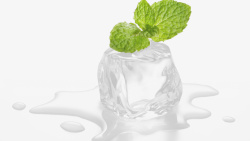 透明奶状冰块绿叶素材
