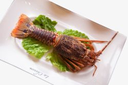 野生澳洲龙虾龙虾大餐高清图片