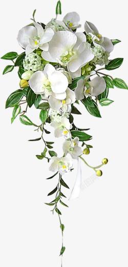 白色花朵绿叶花束素材