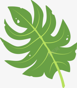 绿色热带植物棕榈叶矢量图素材