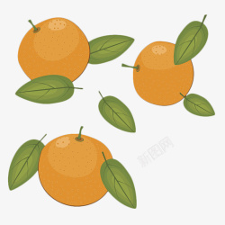 卡通三个香橙和叶子素材
