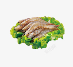 生菜新鲜美味斑节虾素材