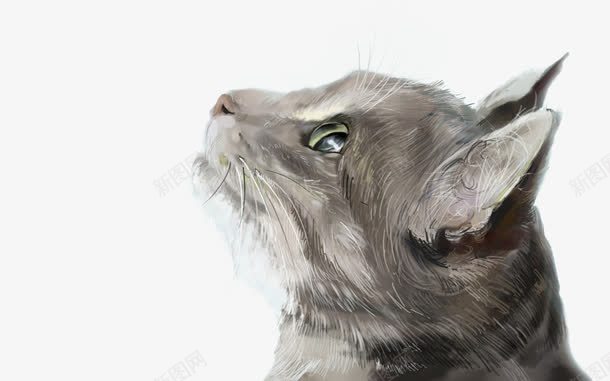 仰望天空的猫png免抠素材_88icon https://88icon.com 手绘 灰色 猫