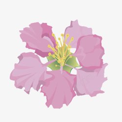 紫薇粉红色的花高清图片