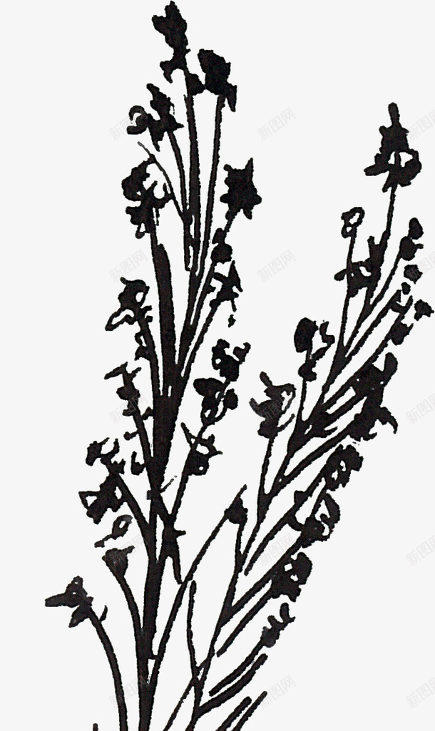 线描树梢png免抠素材_88icon https://88icon.com 线描植物 线条 花卉 黑色