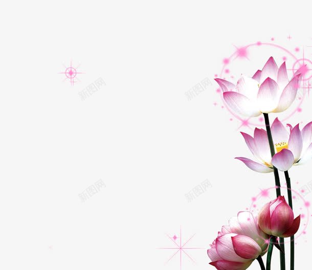 粉色荷花png免抠素材_88icon https://88icon.com 中秋节装饰 发光荷花 粉色 背景装饰 荷花