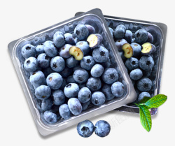 好产品莓美哒果粒蓝莓果素材