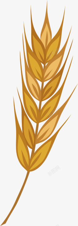 秋季麦子丰收矢量图素材