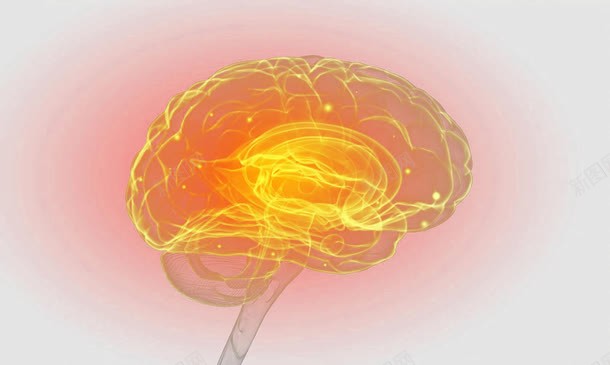 大脑神经系统示意图png免抠素材_88icon https://88icon.com 中枢神经系统 人体组织 神经 神经元 神经系统 神经结构 脑神经