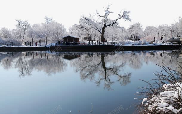 北京植物园雪景一png免抠素材_88icon https://88icon.com 名胜古迹 旅游风景 著名建筑