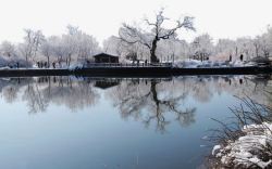 北京植物园雪景一素材