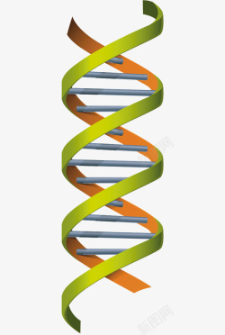 卡通基因DNA结构图素材