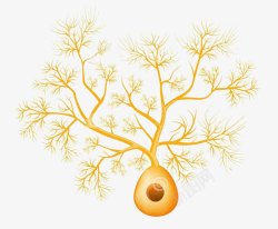 神经细胞图片黄色医学细胞结构图高清图片
