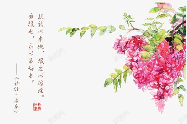 诗经花朵插画配图png免抠素材_88icon https://88icon.com 卡通 卡通插画 古风 唯美 手绘 花卉 诗歌 诗经 诗词