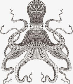 简约黑白手绘章鱼矢量图素材