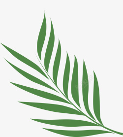 绿色植物棕榈叶图素材