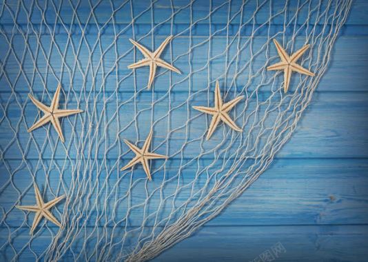 渔网的的海星背景