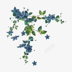 浅蓝色花朵装饰素材