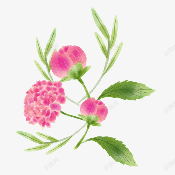 水彩红色绣球花花卉花朵装饰矢量图ai免抠素材_88icon https://88icon.com 手绘 插花花朵 果实 树枝 水彩红色绣球 水彩红色绣球花花卉花朵装饰矢量素材免费下载 红色 绿色树叶 花卉 花朵 黄色 矢量图