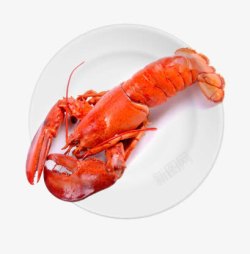 海鲜绿色食品波斯顿大龙虾高清图片