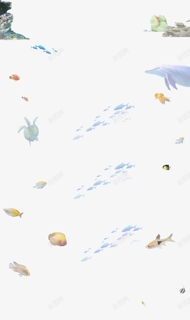 海底世界生物psd免抠素材_88icon https://88icon.com 各种鱼 水 水花 海底世界生物 海豚 鱼 鲨鱼