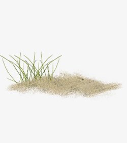 一堆草一棵草跟一堆沙高清图片