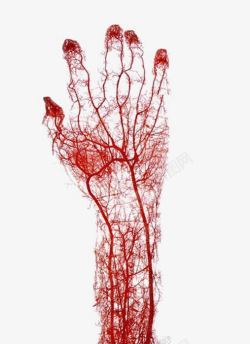 红色血丝创意手掌片高清图片