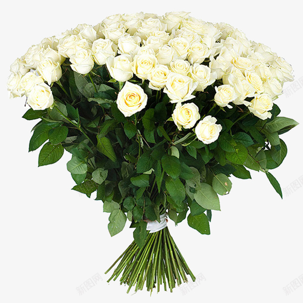 一束白色的玫瑰花png免抠素材_88icon https://88icon.com 一束花 植物 玫瑰花 白玫瑰 绿植 花卉 花朵 鲜花